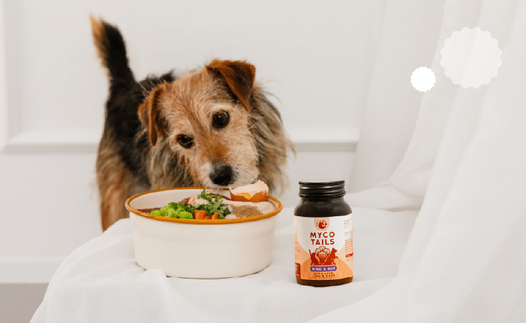 Kako koristiti MycoTails proizvode