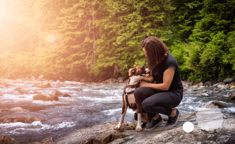 izleti sa psom u sloveniji