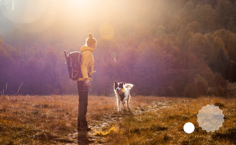 logarska dolina - izlet sa psom za sloveniju