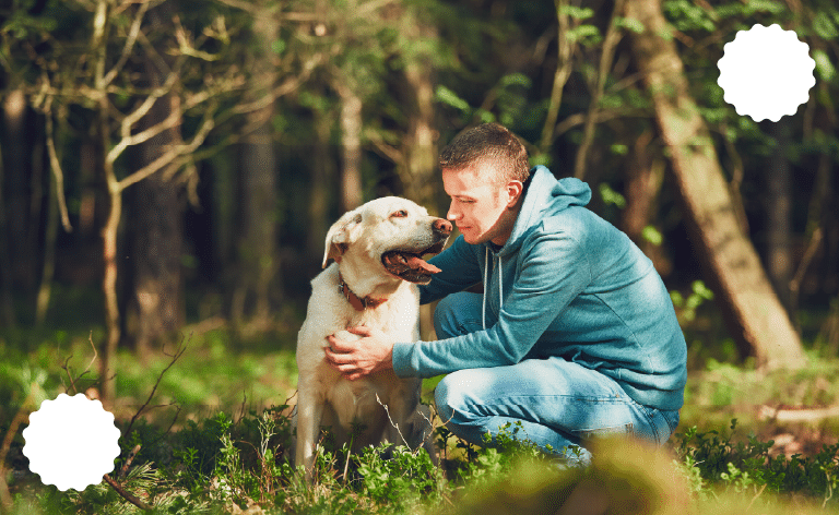 planirnje izleta sa psom u sloveniju